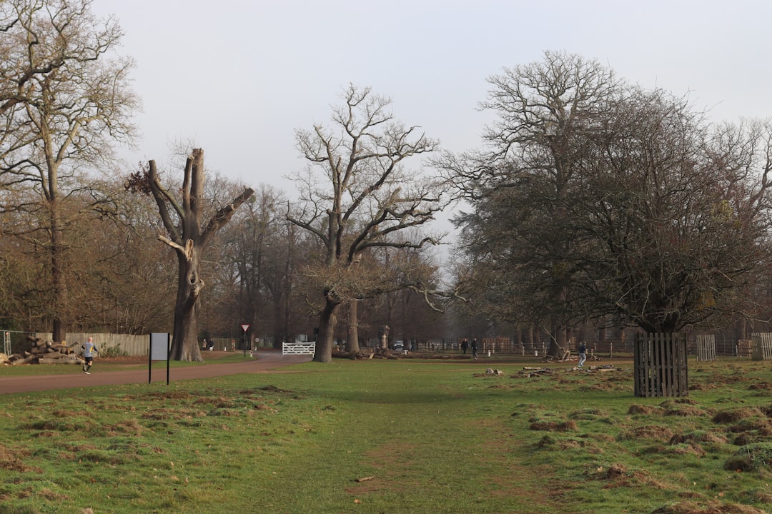 Health and Fitness Journey